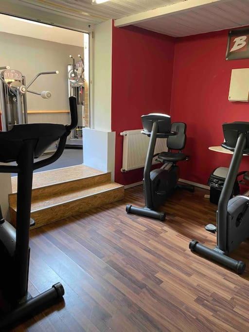 Ferienwohnung Mit Fitnessstudio Top1 Plauen Dış mekan fotoğraf